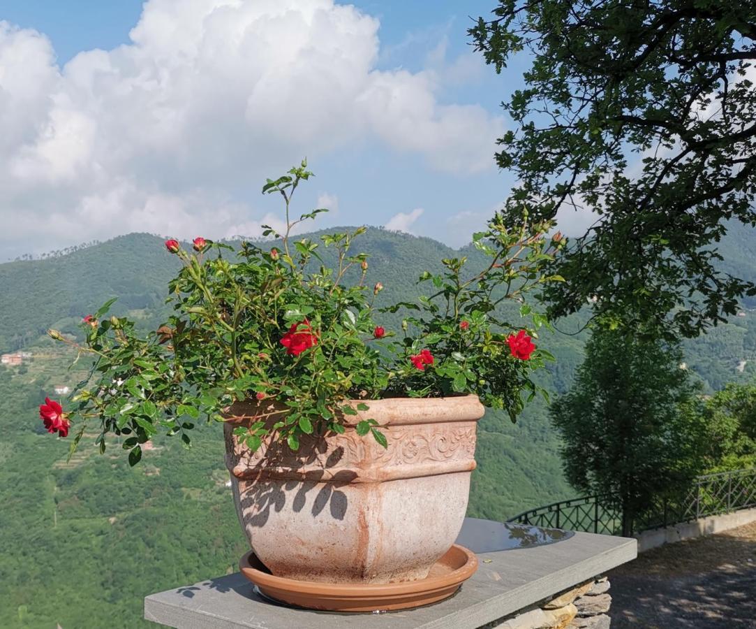 Elsa House Bed and Breakfast Mezzanego Buitenkant foto