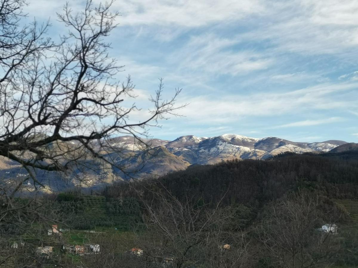 Elsa House Bed and Breakfast Mezzanego Buitenkant foto