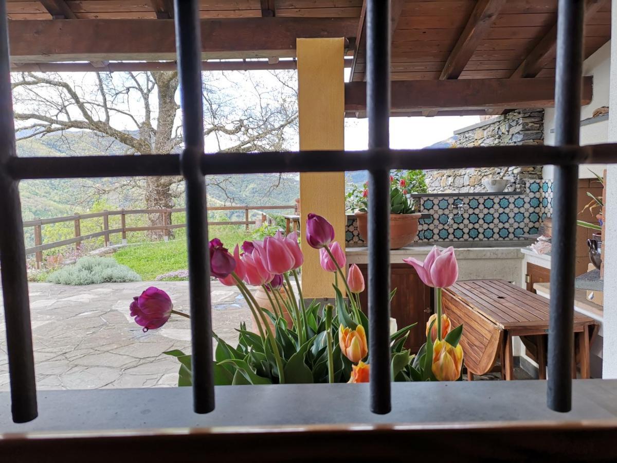 Elsa House Bed and Breakfast Mezzanego Buitenkant foto