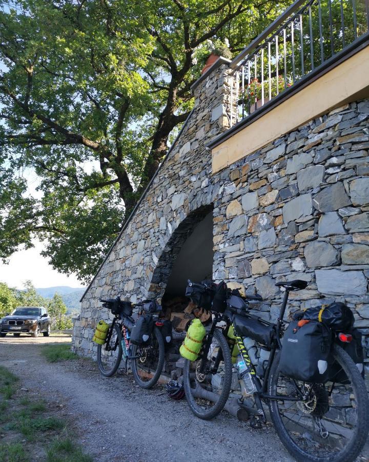 Elsa House Bed and Breakfast Mezzanego Buitenkant foto