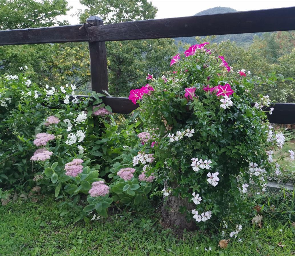 Elsa House Bed and Breakfast Mezzanego Buitenkant foto