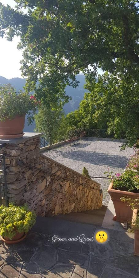 Elsa House Bed and Breakfast Mezzanego Buitenkant foto