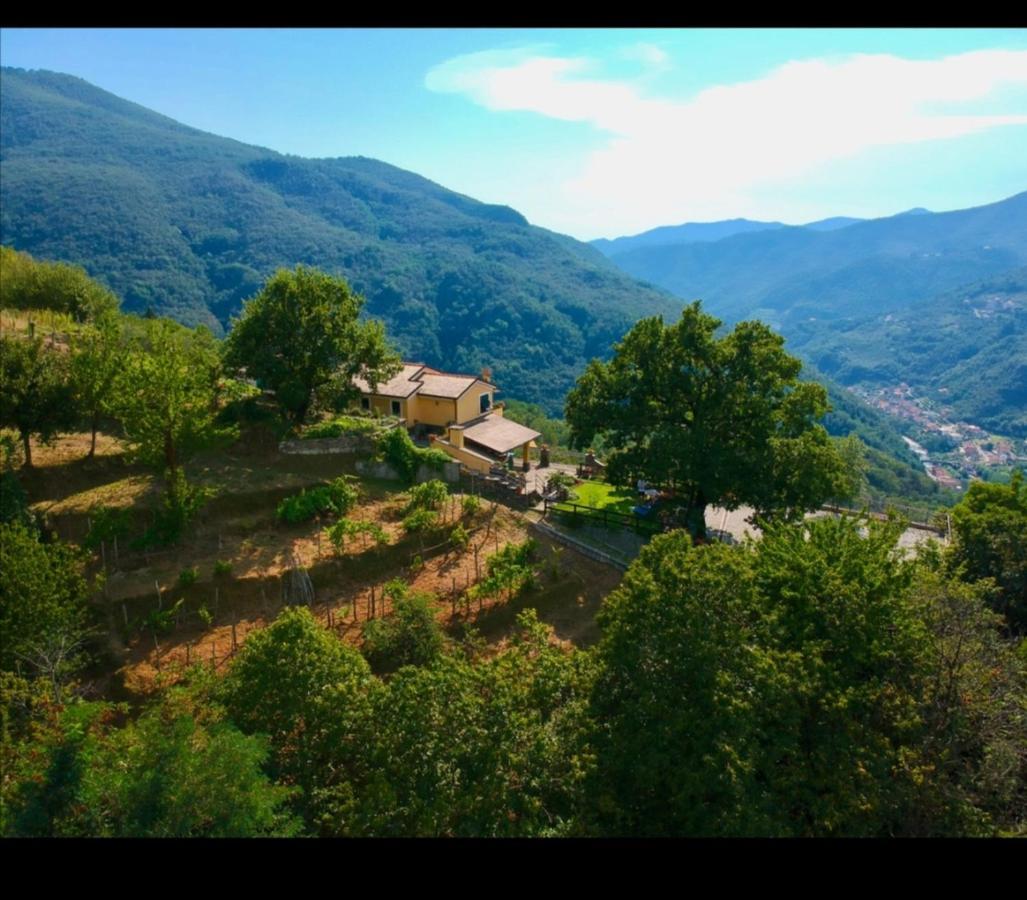 Elsa House Bed and Breakfast Mezzanego Buitenkant foto
